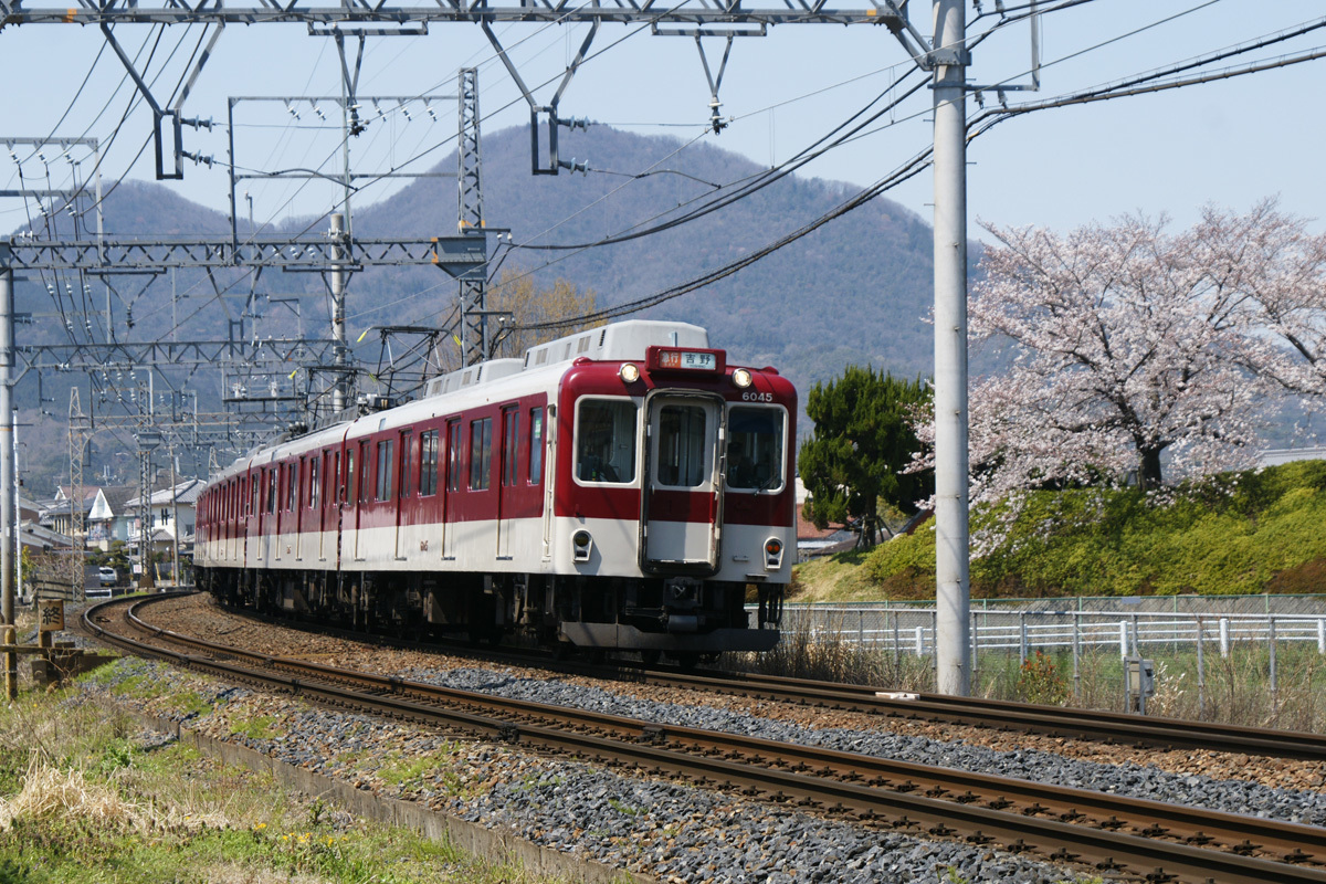 鉄道写真撮影記 By労軽好人 近鉄南大阪線撮影記 二上山と桜と菜の花と