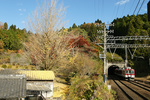 DSC0226.jpg