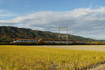 DSC0288.jpg