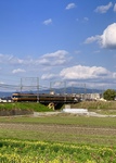IMG_1107.jpg