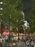 IMG_9282.JPG
